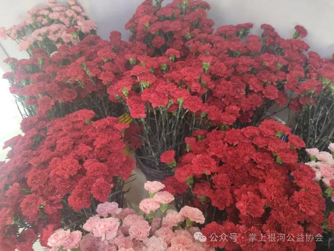 2024年母亲节鲜花义卖公益活动开展情况向您报告(图2)