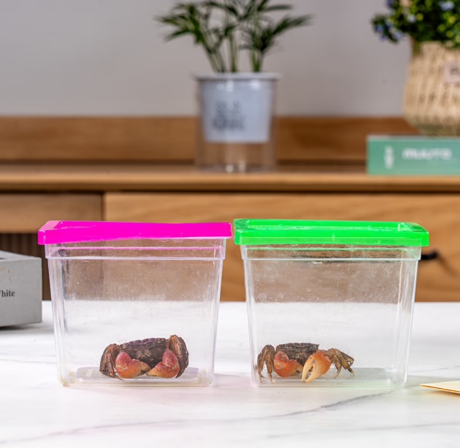 京东买菜升级至秒送专区520鲜花最快30分钟送达(图3)