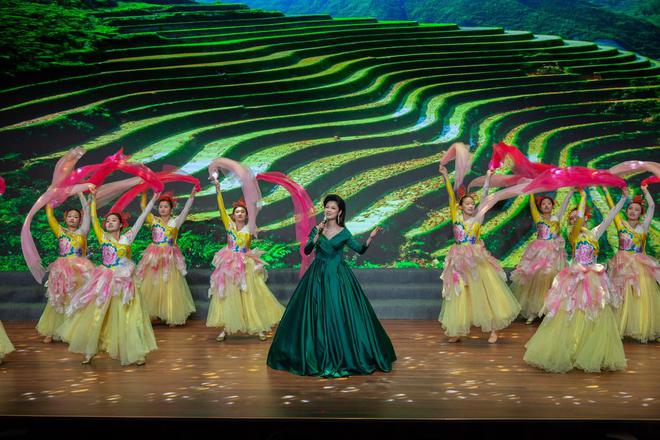 “五月的鲜花”文艺演出在济宁职业技术学院举办(图1)