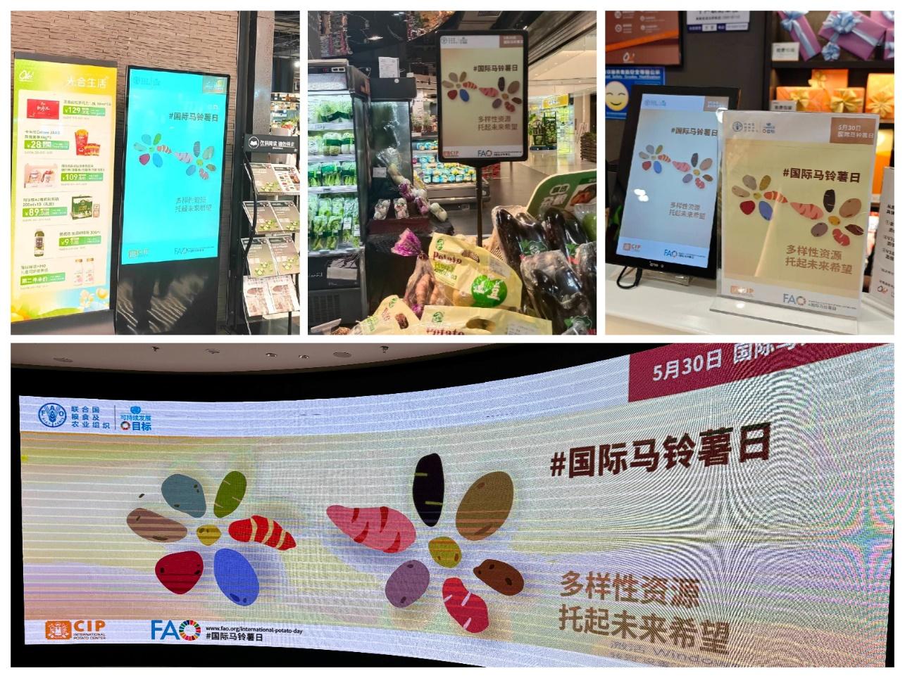 2024年“国际马铃薯日”中国区庆祝活动举办(图3)