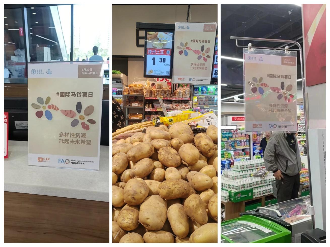 2024年“国际马铃薯日”中国区庆祝活动举办(图4)