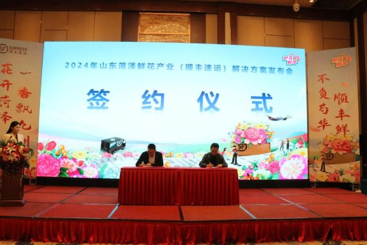 “菏泽花开顺丰鲜达”菏泽鲜花产业解决方案发布(图3)