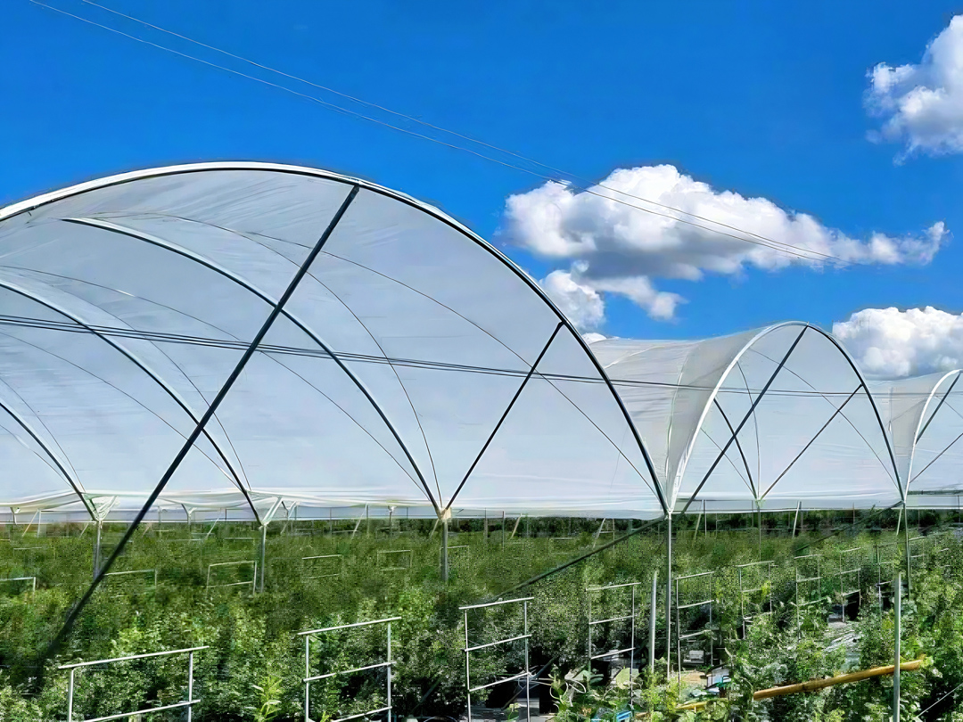 亮相2024泰国曼谷国际花卉园艺展览会雷马助推“一带一路”农业合作发展(图4)