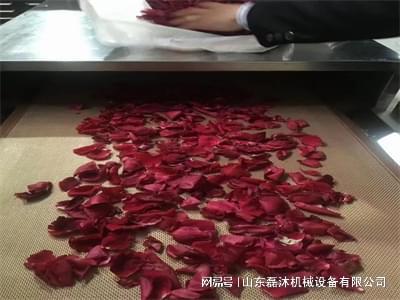 微波烘干设备在鲜花产业中的重要性和价值(图2)