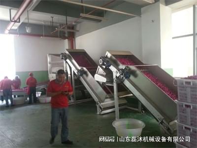 微波烘干设备在鲜花产业中的重要性和价值(图1)
