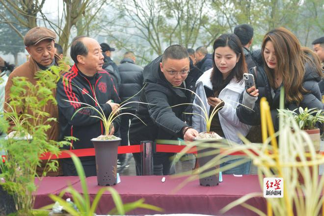 喜迎2024年成都世界园艺博览会邛崃市首届花卉盆景艺术季开幕(图2)