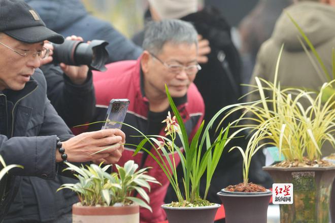 喜迎2024年成都世界园艺博览会邛崃市首届花卉盆景艺术季开幕(图3)