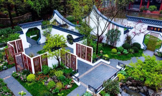 花“汇”让上海更美丽2024上海(国际)花展如期而至(图2)