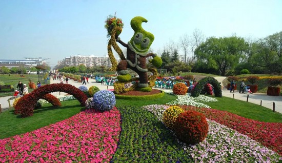 花“汇”让上海更美丽2024上海(国际)花展如期而至(图1)