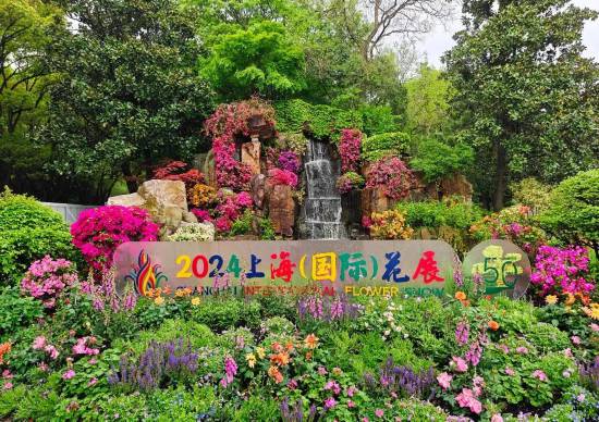 花“汇”让上海更美丽2024上海(国际)花展如期而至(图3)