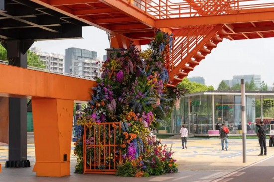 花“汇”让上海更美丽2024上海(国际)花展如期而至(图6)