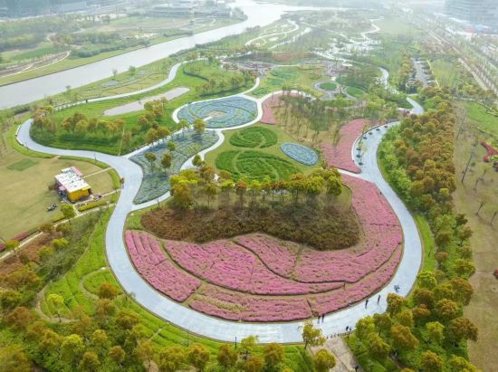 花“汇”让上海更美丽2024上海(国际)花展如期而至(图8)