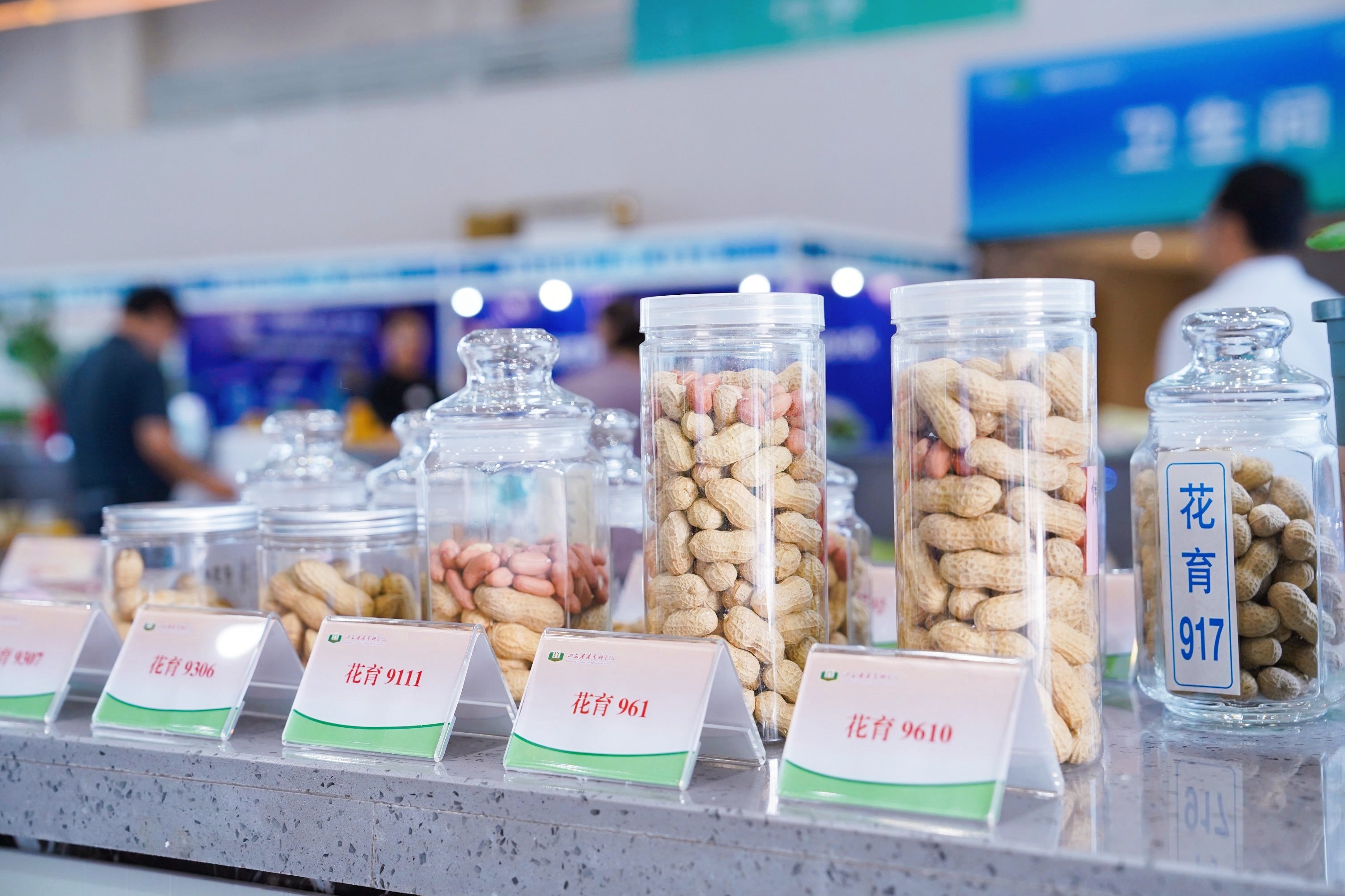 2024青岛首届种业博览会开幕(图1)