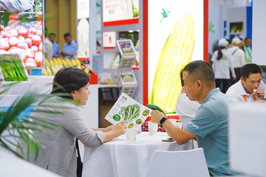 展示创新成果共线青岛首届种业博览会在青岛西海岸新区开幕(图3)