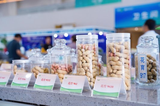 展示创新成果共线青岛首届种业博览会在青岛西海岸新区开幕(图1)