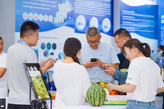 展示创新成果共线青岛首届种业博览会在青岛西海岸新区开幕(图5)