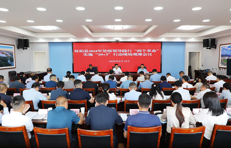 双柏县召开2024年县处级领导践行“两场革命”实施“10+3”行动现场观摩会议(图1)