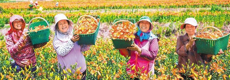 鲜花经济美丽绽放(图3)