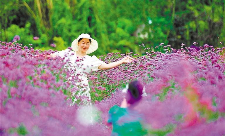鲜花经济美丽绽放(图6)