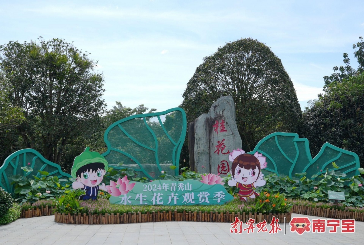 多种罕见品种亮相南宁青秀山水生花卉观赏季来了(图1)