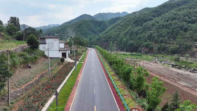 汝阳县付店镇:一路鲜花一路景(图1)