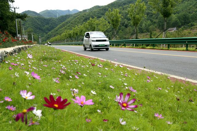 汝阳县付店镇:一路鲜花一路景(图2)