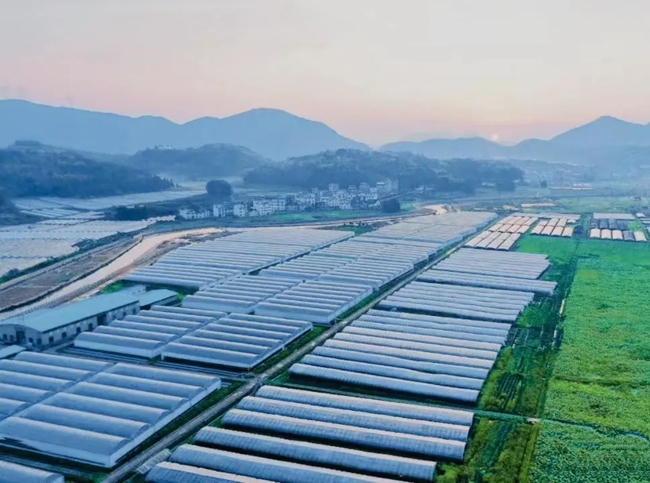 福建省林業局挂職干部王李銀：為周寧高山冷涼花卉產業發展尋找“金鑰匙”(图2)