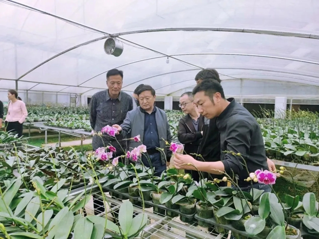 福建省林業局挂職干部王李銀：為周寧高山冷涼花卉產業發展尋找“金鑰匙”(图4)