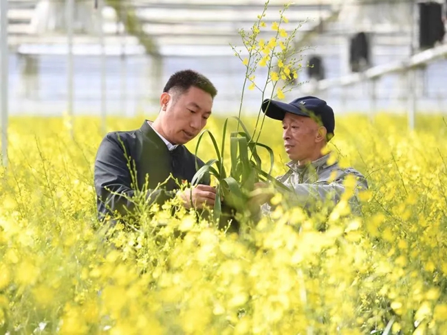 福建省林業局挂職干部王李銀：為周寧高山冷涼花卉產業發展尋找“金鑰匙”(图3)