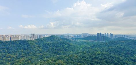 2024【认证】；广州黄埔星河湾萝峰售楼处电话-营销中心电话(图3)