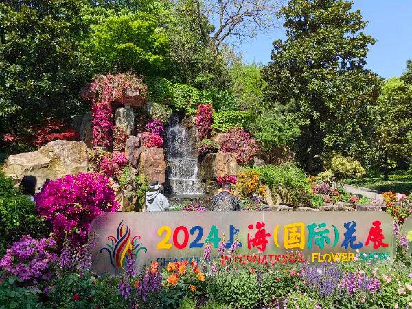 美出新高度！2024上海（国际）花展开幕最出片的打卡点都在这儿→(图1)