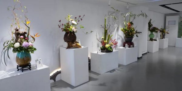 美出新高度！2024上海（国际）花展开幕最出片的打卡点都在这儿→(图14)
