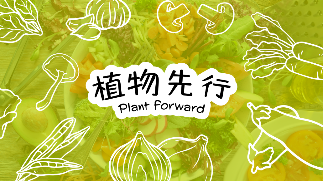 星光助力可持续未来：众星云集(图1)