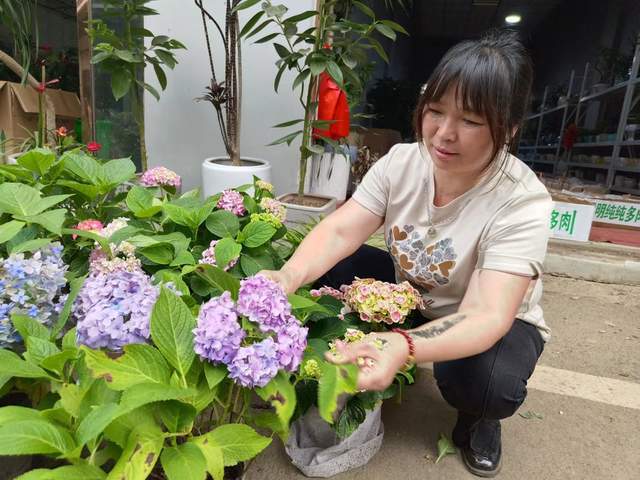 江山花卉叶洪生：以租用方式营造商务办公花木世界(图4)