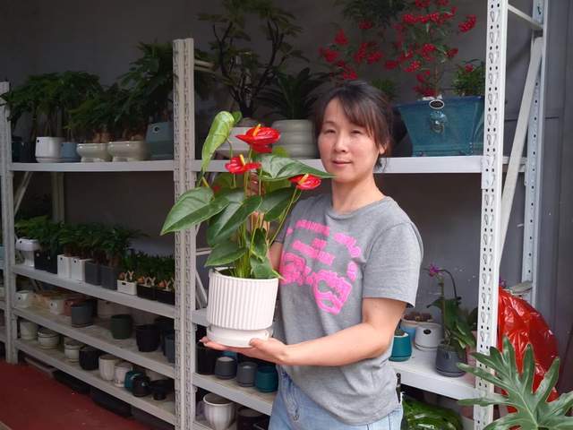 江山花卉叶洪生：以租用方式营造商务办公花木世界(图3)
