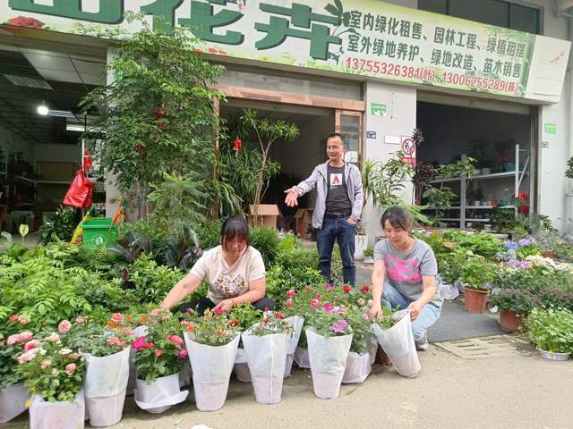 江山花卉叶洪生：以租用方式营造商务办公花木世界(图1)