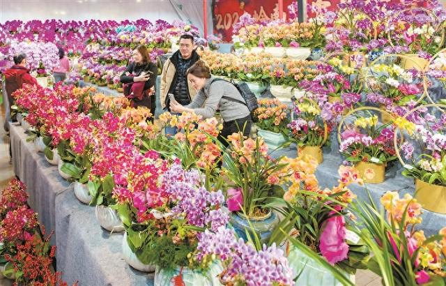 广州打造国际一流花卉产业高地到2026年“花经济”开出400亿元产值(图1)