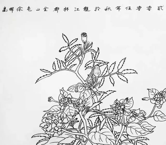 书画联盟丨花卉写生的方法是什么(图1)