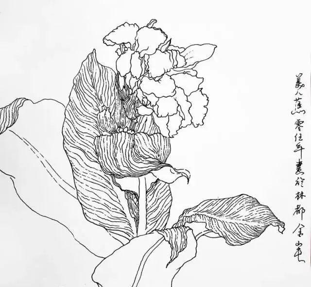 书画联盟丨花卉写生的方法是什么(图4)