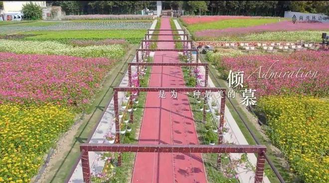 尚湾林语售楼处电线尚湾林语）网站(图9)