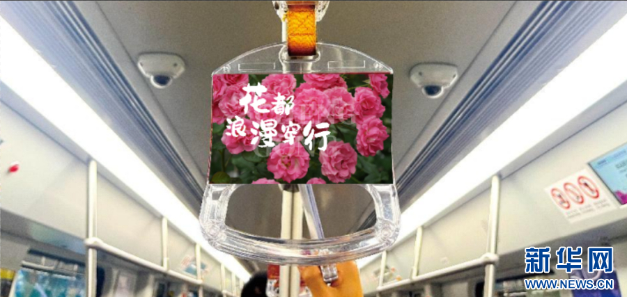 昆明斗南鲜花专列即将“浪漫开行”_新华网(图2)