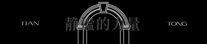 天潼198(2024年天潼198)网站-楼盘详情-户型配套(图25)