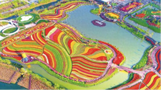 走进盐城丨盐城大丰：鲜花铺就致富路激活农文旅融合新动能(图1)