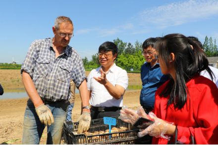 走进盐城丨盐城大丰：鲜花铺就致富路激活农文旅融合新动能(图3)
