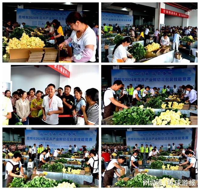 匠心传承筑梦春城--昆明市2024年花卉产业鲜切花包装技能竞赛活动在晋宁举办(图5)
