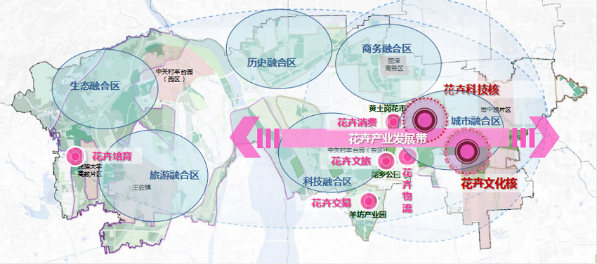 “花十条”保驾护航(图1)
