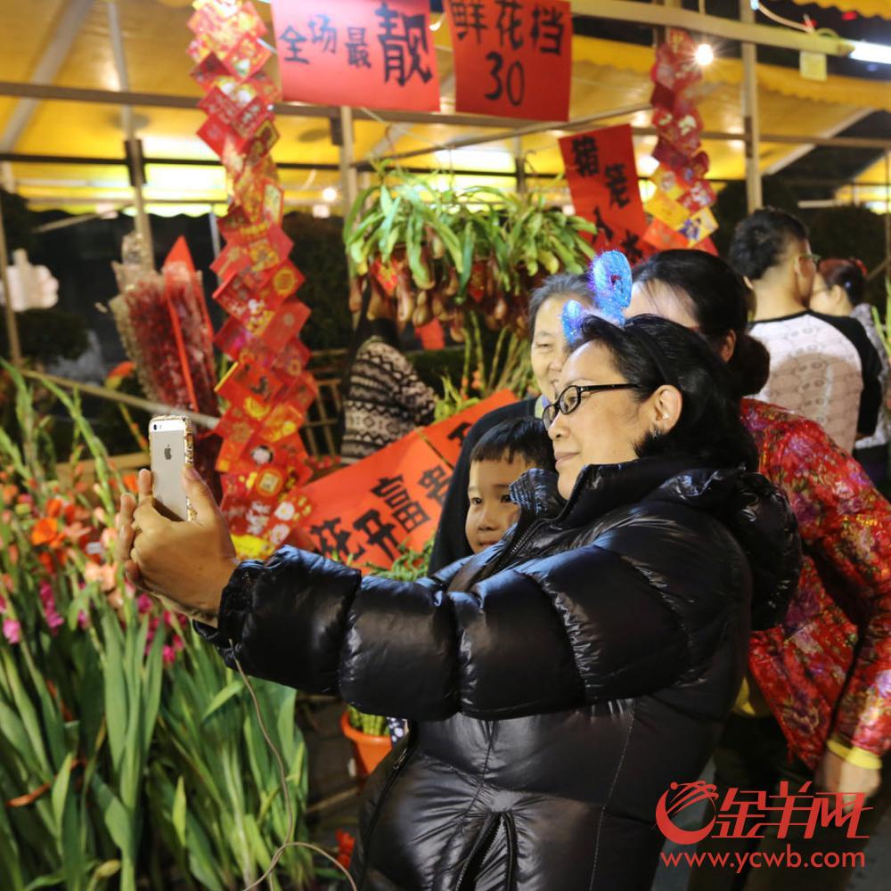 鲜花档起拍价500元！广州2024荔湾传统迎春花市档位将于本月23日招标(图2)