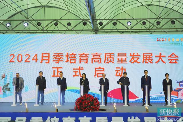 花开满园迎客来2024月季培育高质量发展大会在广州花都举办(图2)