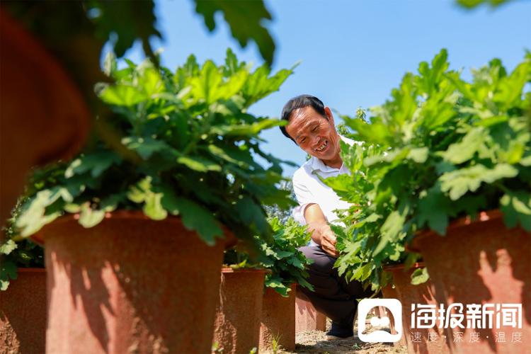 视觉山东一周图选（2024年第37期）(图1)