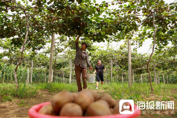 视觉山东一周图选（2024年第37期）(图9)
